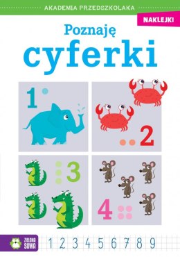 Książeczka edukacyjna Akademia przedszkolaka. Poznaję cyferki Zielona Sowa Zielona Sowa