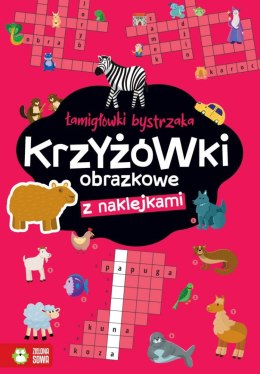 Książeczka edukacyjna Łamigłówki bystrzaka Krzyżówki obrazkowe Zielona Sowa Zielona Sowa