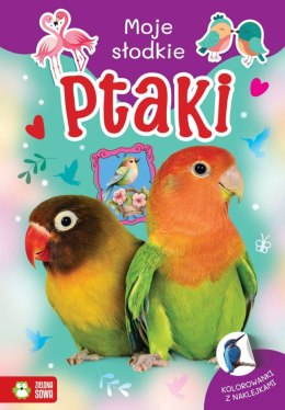 Książeczka edukacyjna Moje słodkie zwierzaki. Ptaki Zielona Sowa Zielona Sowa