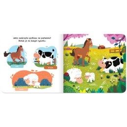 Książka dla dzieci Raz, dwa, trzy - szukam! Na wsi.