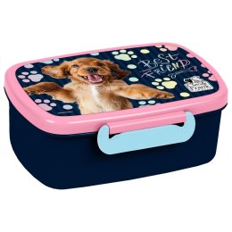 Śniadaniówka Derform (SACF44) Derform