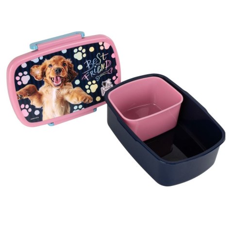 Śniadaniówka Derform (SACF44) Derform