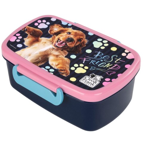 Śniadaniówka Derform (SACF44) Derform