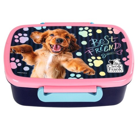 Śniadaniówka Derform (SACF44) Derform