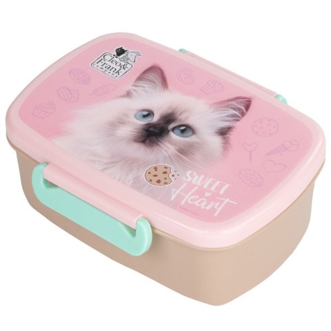 Śniadaniówka Derform (SACF45) Derform