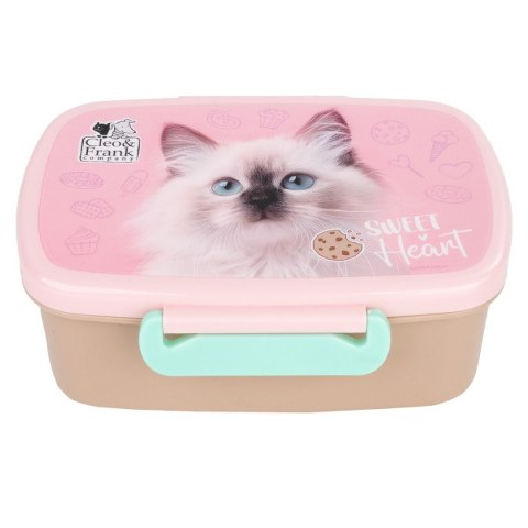 Śniadaniówka Derform (SACF45) Derform