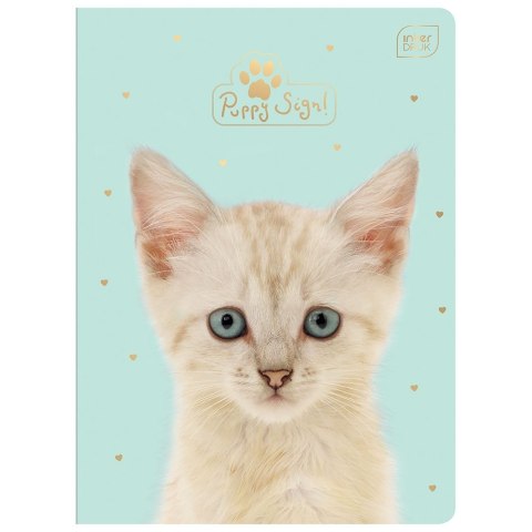 Zeszyt PUPPY SIGN A5 32k. 70g krata Interdruk (ZE32#PUP) Interdruk