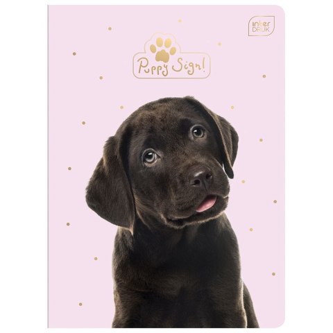 Zeszyt PUPPY SIGN A5 32k. 70g krata Interdruk (ZE32#PUP) Interdruk
