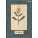 Zeszyt FLOWERS A5 60k. 70g linia Top 2000 (400169420) Top 2000