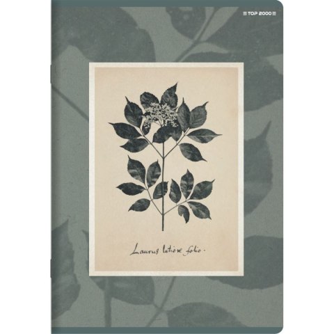 Zeszyt FLOWERS A5 60k. 70g linia Top 2000 (400169420) Top 2000