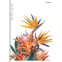 Zeszyt FLOWERS A5 60k. 70g linia Top 2000 (400169420) Top 2000