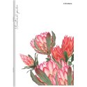 Zeszyt FLOWERS A5 60k. 70g linia Top 2000 (400169420) Top 2000