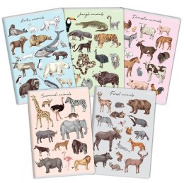 Zeszyt PP A5 16k. krata Top 2000 (400174504) Top 2000