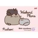 Blok rysunkowy Pusheen A4 biały 20k Unipap Unipap