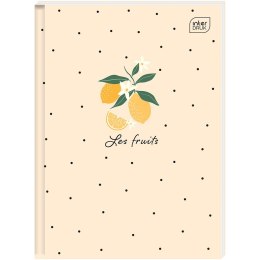 Brulion HYBRID PT A5 80k. 70g krata Interdruk Interdruk