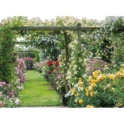 Kalendarz ścienny OGRODY RAJSKIE 13-planszowe 2024 320mm x 470mm Lucrum (RW11) Lucrum