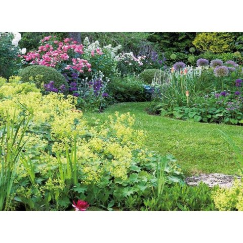 Kalendarz ścienny OGRODY RAJSKIE 13-planszowe 2024 320mm x 470mm Lucrum (RW11) Lucrum