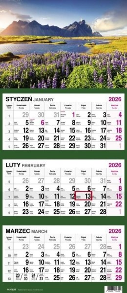 Kalendarz ścienny GÓRY 310mm x 790mm Press Press