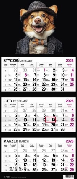 Kalendarz ścienny PIES 310mm x 790mm Press Press