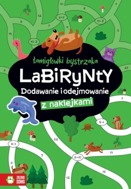 Książeczka edukacyjna Łamigłówki bystrzaka Labirynty. Dodawanie i odejmowanie Zielona Sowa Zielona Sowa
