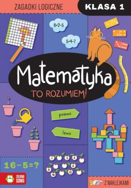 Książeczka edukacyjna Matematyka. To rozumiem! Klasa 1 Zielona Sowa Zielona Sowa