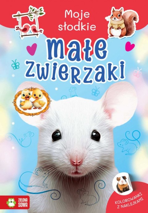 Książeczka edukacyjna Moje słodkie zwierzaki. Małe zwierzaki Zielona Sowa Zielona Sowa