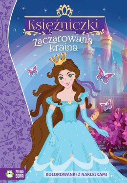 Książeczka edukacyjna Zaczarowana kraina Zielona Sowa Zielona Sowa