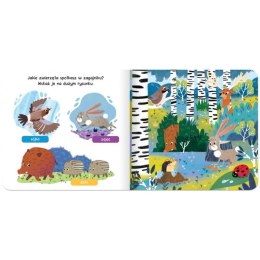 Książka dla dzieci Raz, dwa, trzy - szukam! W lesie