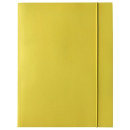 Teczka kartonowa na gumkę A4 mix Bantex (400114426) Bantex