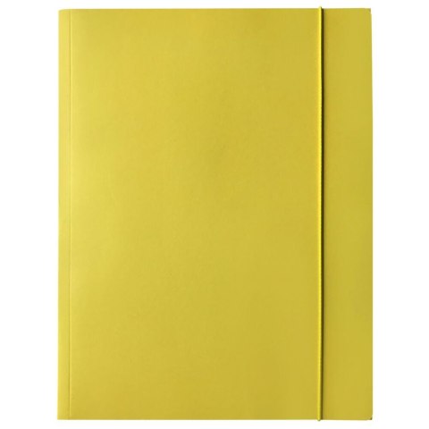 Teczka kartonowa na gumkę A4 mix Bantex (400114426) Bantex