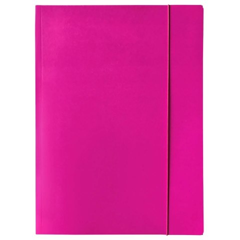 Teczka kartonowa na gumkę A4 mix Bantex (400114426) Bantex