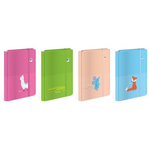 Teczka ofertowa A4+ kolor: mix 1 kieszeni Interdruk (TEGUTOBB) Interdruk