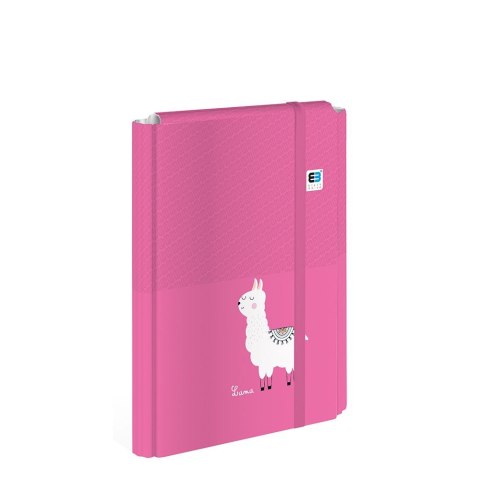 Teczka ofertowa A4+ kolor: mix 1 kieszeni Interdruk (TEGUTOBB) Interdruk