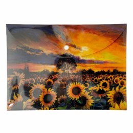 Teczka plastikowa na zatrzask Słoneczniki Vista A4 mix 28 mic. Narcissus Narcissus