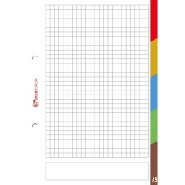 Wkład do segregatora A5 Interdruk (WKDOSEA550REG) Interdruk
