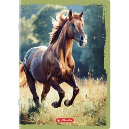 Zeszyt Animals A5 16k. 70g gładki Herlitz (400196854) Herlitz