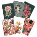 Zeszyt A4 FLOWERS 60k. 70g krata Top 2000 (400169430) Top 2000