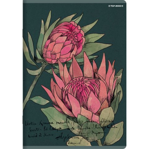 Zeszyt A4 FLOWERS 60k. 70g krata Top 2000 (400169430) Top 2000