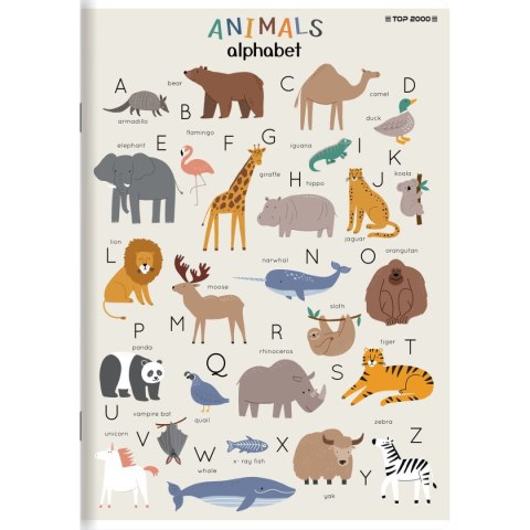 Zeszyt megamix A5 16k. 70g krata Top 2000 (400168844) Top 2000