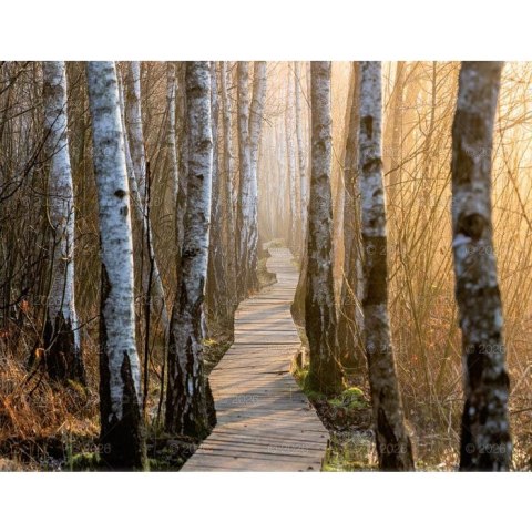 Kalendarz ścienny 13-planszowe 320mm x 470mm Lucrum (RW04) Lucrum