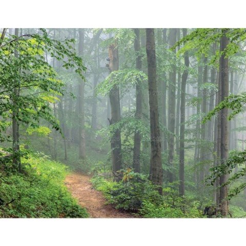 Kalendarz ścienny 13-planszowe 320mm x 470mm Lucrum (RW04) Lucrum