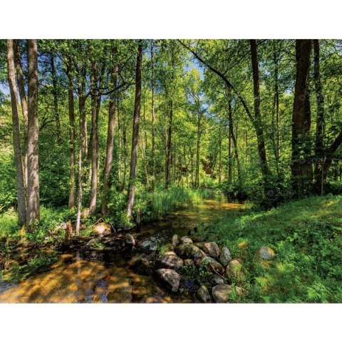 Kalendarz ścienny 13-planszowe 320mm x 470mm Lucrum (RW04) Lucrum