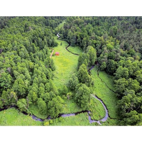 Kalendarz ścienny 13-planszowe 320mm x 470mm Lucrum (RW04) Lucrum