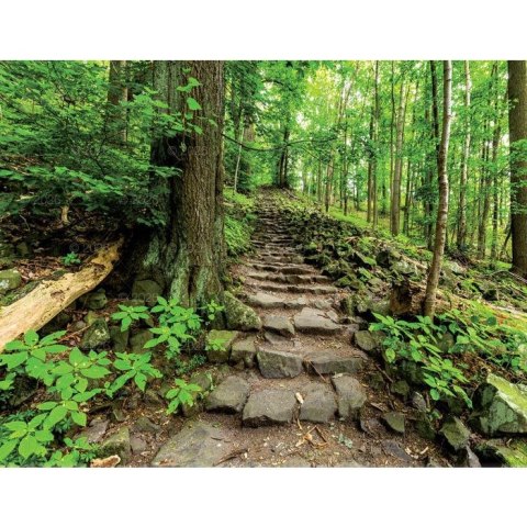 Kalendarz ścienny 13-planszowe 320mm x 470mm Lucrum (RW04) Lucrum