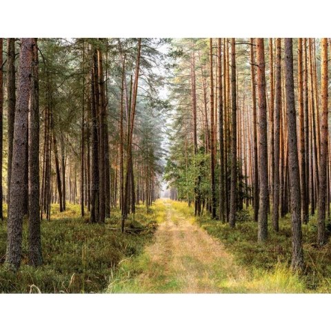 Kalendarz ścienny 13-planszowe 320mm x 470mm Lucrum (RW04) Lucrum