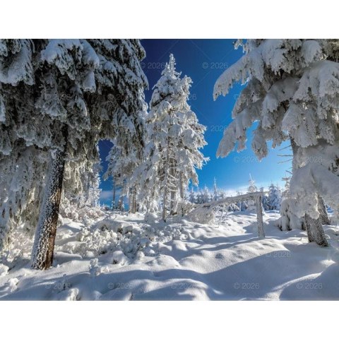 Kalendarz ścienny 13-planszowe 320mm x 470mm Lucrum (RW04) Lucrum