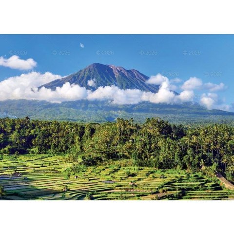 Kalendarz ścienny 13-planszowe 320mm x 470mm Lucrum (RW11) Lucrum