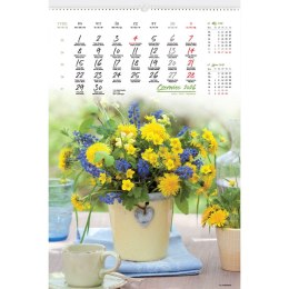 Kalendarz ścienny 13-planszowe 320mm x 470mm Lucrum (RW12) Lucrum