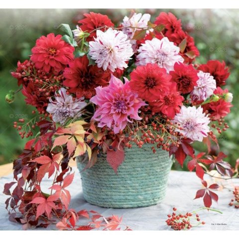 Kalendarz ścienny 13-planszowe 320mm x 470mm Lucrum (RW12) Lucrum