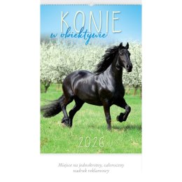 Kalendarz ścienny 13-planszowe 320mm x 470mm Lucrum (RW14) Lucrum